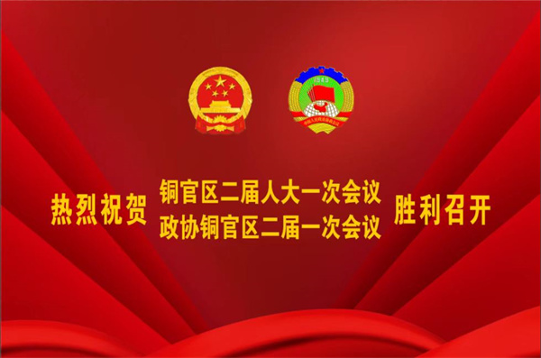 熱烈祝賀公司董事、副總經(jīng)理王從偉被選為 第二屆銅陵市銅官區(qū)政協(xié)常務(wù)委員